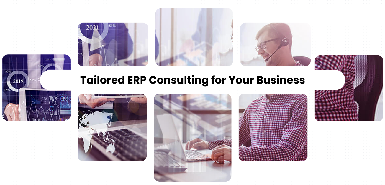 erp-consulting-service